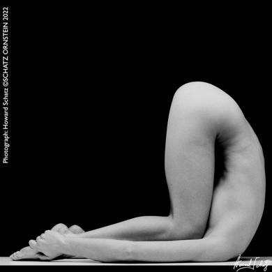 Human Body Study 1440 - Howard Schatz