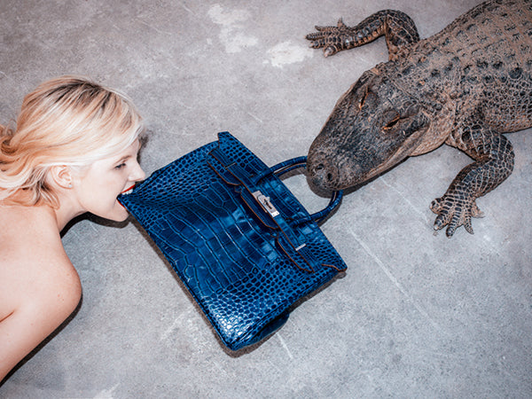 Gator Birkin III - tug of war by Tyler Shields at GALLERY M