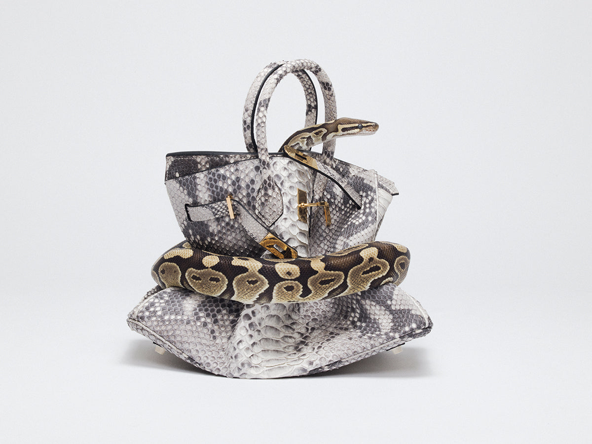 Python birkin outlet